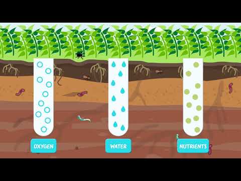 What is soil organic matter and how is it formed?