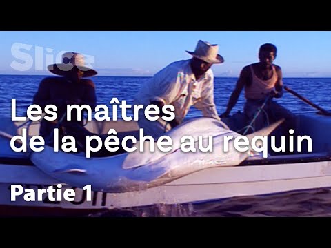 Capturer le seigneur des mers - Partie 1 | SLICE
