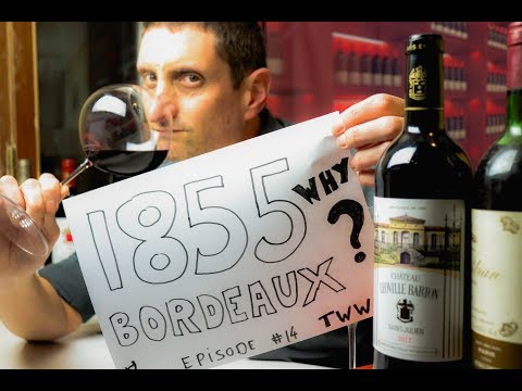 1855 Classification Bordeaux Wine 🍷 How, Why, What Now?