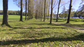 preview picture of video 'Vol entre deux rangées d'arbres, Chalet à Gobet, Lausanne, Suisse'