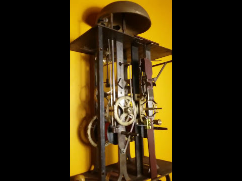 French Provincial Morbier Movement