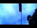 Safety Harbor Common Ground Community Garden Bats Oct 6 2014