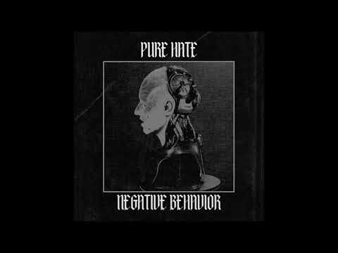 INSECT - THE END IS NOW THE BEINNING