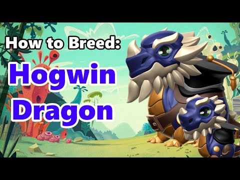 How to Breed the HOGWIN DRAGON! 3 BEST Breeding Combinations Revealed (May 2022 DotM Guide)