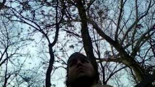 S.G. Brokentooth-Phyllis Ruth (16hp cover-ish)