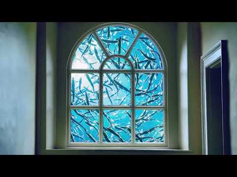 BombCatWombat - Parallel