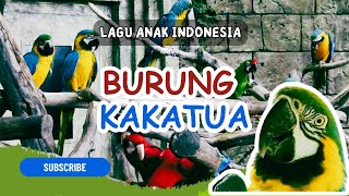 Burung Kakatua - Lagu Anak Indonesia Populer dengan Lirik