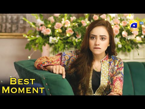 Nikah Episode 66 | 𝐁𝐞𝐬𝐭 𝗠𝗼𝗺𝗲𝗻𝘁 𝟎𝟭 | Haroon Shahid | Zainab Shabbir | HAR PAL GEO