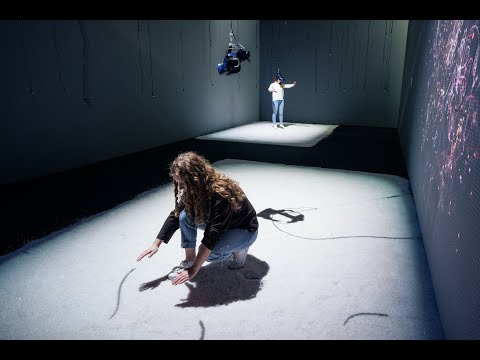 Conservation of Shadows in the ZKM