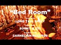 Long Tall Sally Bed Room MV