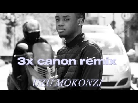 Uzu mokonzi - Animation #2 (3x canon remix) (Audio)