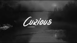 Hayley Kiyoko - Curious (Lyrics)
