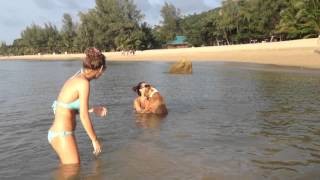 preview picture of video 'Koh Phangan: 3 months in 3 minutes'