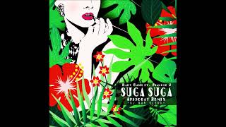 Baby Bash ft. Frankie J - Suga Suga (Afrobeat Remix) - DJ SGR Blend