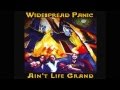 Widespread Panic "Can't Get High" W/ lyrics