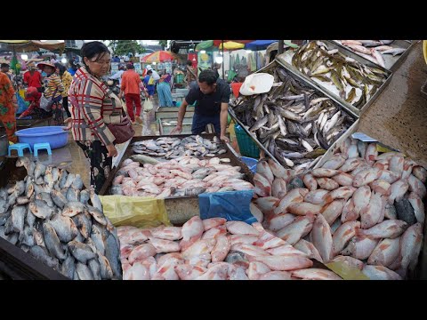 Amazing Site Distribute Fish, Seafood & More @Chbar Ampov - Cambodian Daily Lifestyle in Fish Market