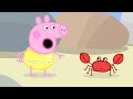 Peppa Pig Full Episodes At The Beach 88
