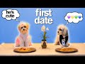 Adorable Dog's FIRST TINDER DATE *Try Not To Say Aww* VERY FUNNY