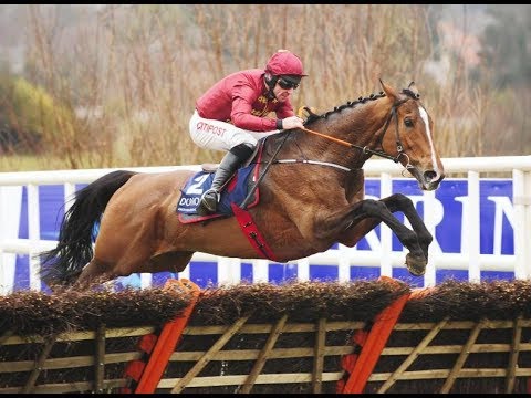 Pallasator - Fairyhouse G2 Novice Hurdle (Build Up & Race) 01/04/18
