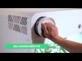 Leaf Product Video LatamIsrael
