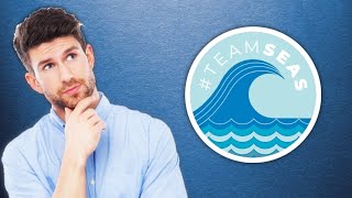 An infomercial about #TeamSeas (ft. a furry)