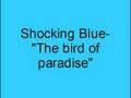 Shocking Blue- The bird of paradise 