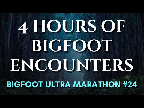 Bigfoot Ultra Marathon #24 - 4 Hours Of Bigfoot Encounters!