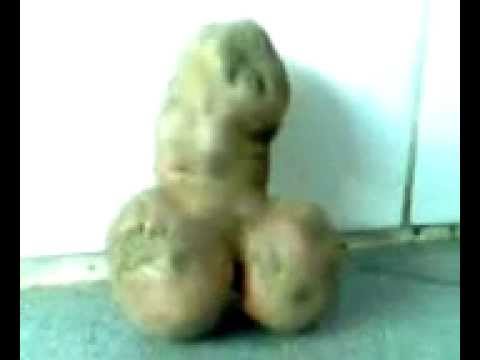 , title : 'A weird potato - Looks like a penis'
