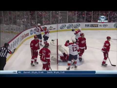 Florida Panthers' questionable goal (12/7/13)