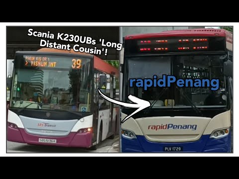 Meet the Scania K230UB's Counterpart - the Scania K250UB and K270UB (rapidPenang and SBST)