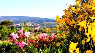 preview picture of video 'Villa Bobolino Tuscany Holiday Home'