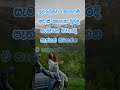 නිවන් දකින්න කාලය පැමිණ ඇත Meditation Quotes Motivation
