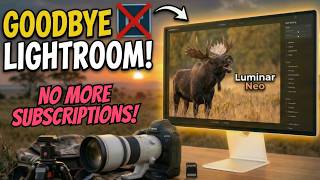 Can Luminar Neo Replace Lightroom for Wildlife Photography?