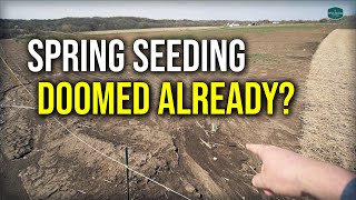 SEEDING A LAWN IN SPRING UPDATE!! // New Front Lawn Renovation Part 2