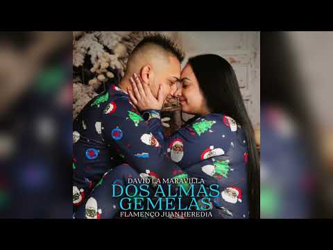 David La Maravilla - Dos Almas Gemelas "FT. Flamenco Juan Heredia"