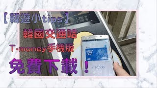 Re: [情報] WAON和nanaco即將開放ApplePay