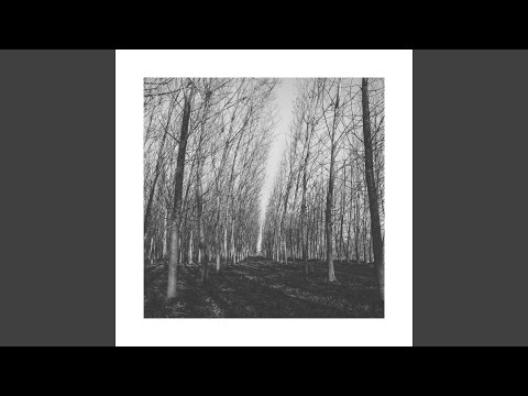 What I Like About You Is What I Imagine