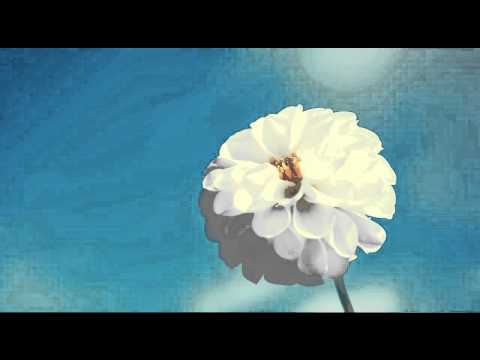 Want TRUE Inner Peace? LISTEN NOW! Amazing Quran! By Mansour Al Salimi