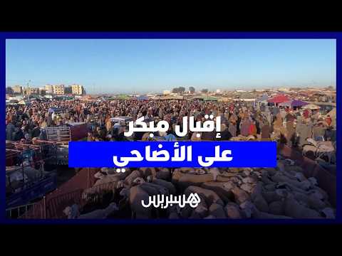 إقبال مبكر على الأضاحي 