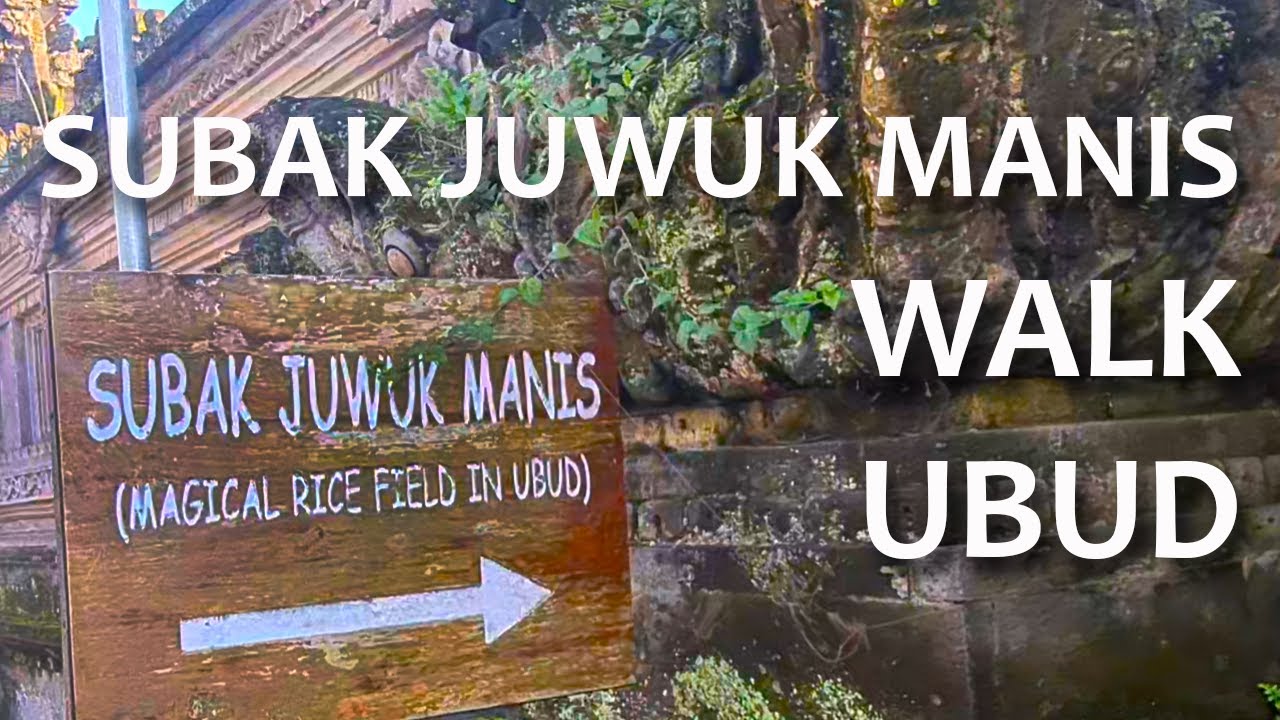 Experience a virtual stroll through Subak Juwuk Manis Rice Trail.