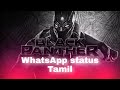 Black Panther WhatsApp Status Tamil Padayappa BGM Remix