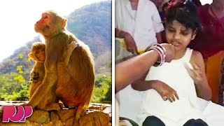 Girl Was Found Living With Monkeys In The Forest