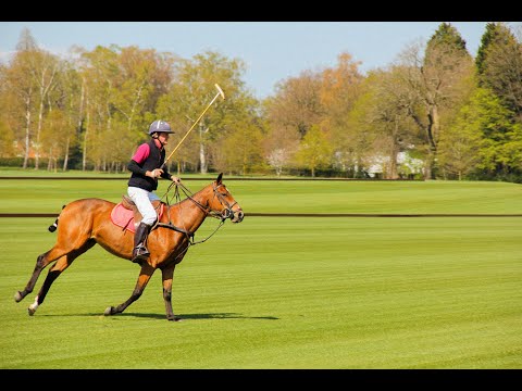 Guards Polo Club new lawns construction by White Horse Contractors