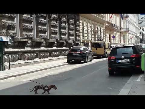 Andrassy street Budapest April 7th 2022