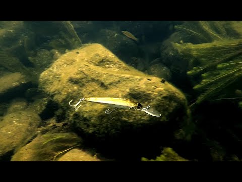 Lure Masterclass: Realis Jerkbait 100DR - How To