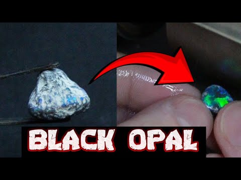 Rough Opal Cuts INCREDIBLE Black Opal!