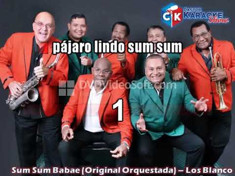 karaoke sum sum babae original orquestada    los blanco   demo