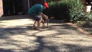 cut copy going nowhere - a random day