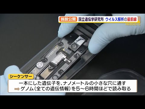 15,000年前のウイルスが氷河で発見 – 彼らは「超現実的な遺伝的特徴」を持っている