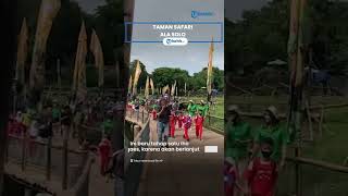 Berita Solo Hari Ini: Resmi Dibuka Hari Ini, Berikut Penampakan Taman Safari Ala Kota Solo